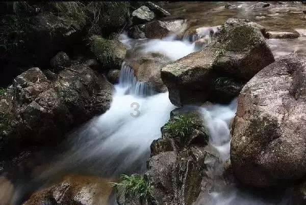 求生指南2